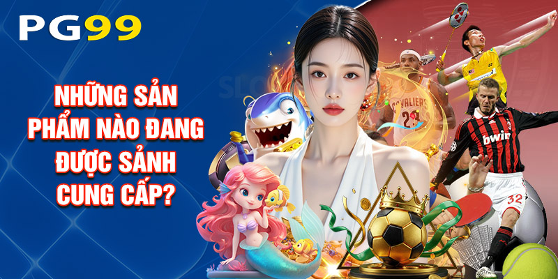 Những Sản Phẩm Nào Đang Được Sảnh Cung Cấp?
