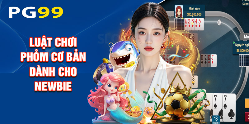 Luật Chơi Phỏm Cơ Bản Dành Cho Newbie