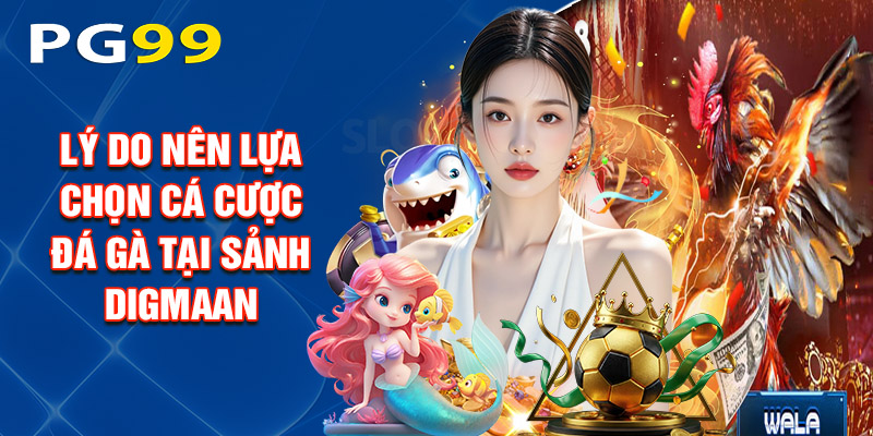 Lý Do Nên Lựa Chọn Cá Cược Đá Gà Tại Sảnh Digmaan