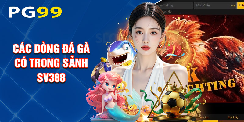 Các Dòng Đá Gà Có Trong Sảnh Sv388
