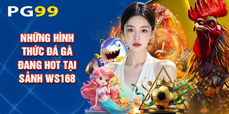 Những Hình Thức Đá Gà Đang Hot Tại Sảnh Ws168