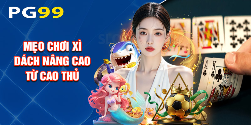Mẹo Chơi Xì Dách Nâng Cao Từ Cao Thủ