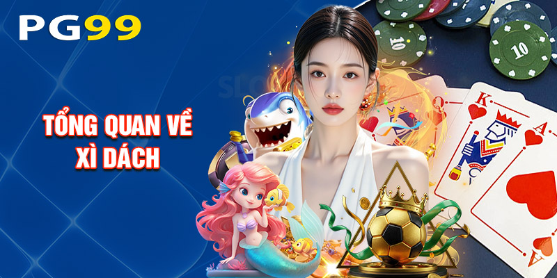 Tổng Quan Về Xì Dách