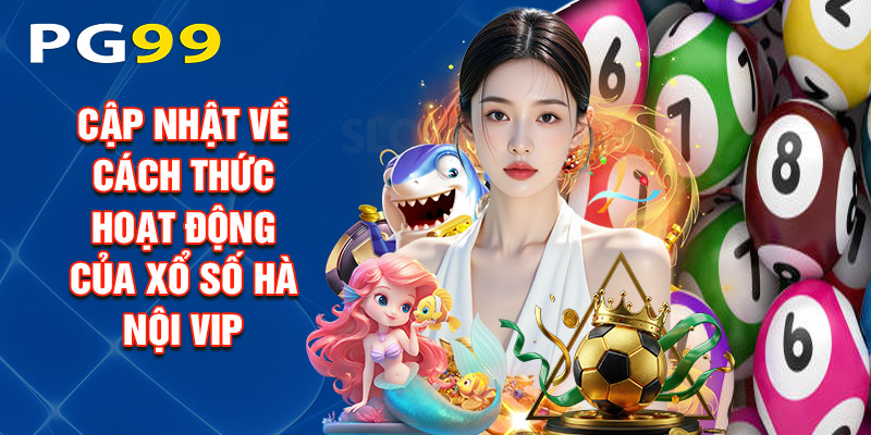 Cập Nhật Về Cách Thức Hoạt Động Của Xổ Số Hà Nội Vip